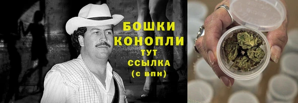 сатива Бронницы
