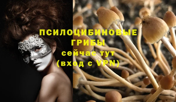 spice Верея