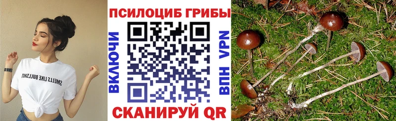 Псилоцибиновые грибы MAGIC MUSHROOMS  Добрянка 